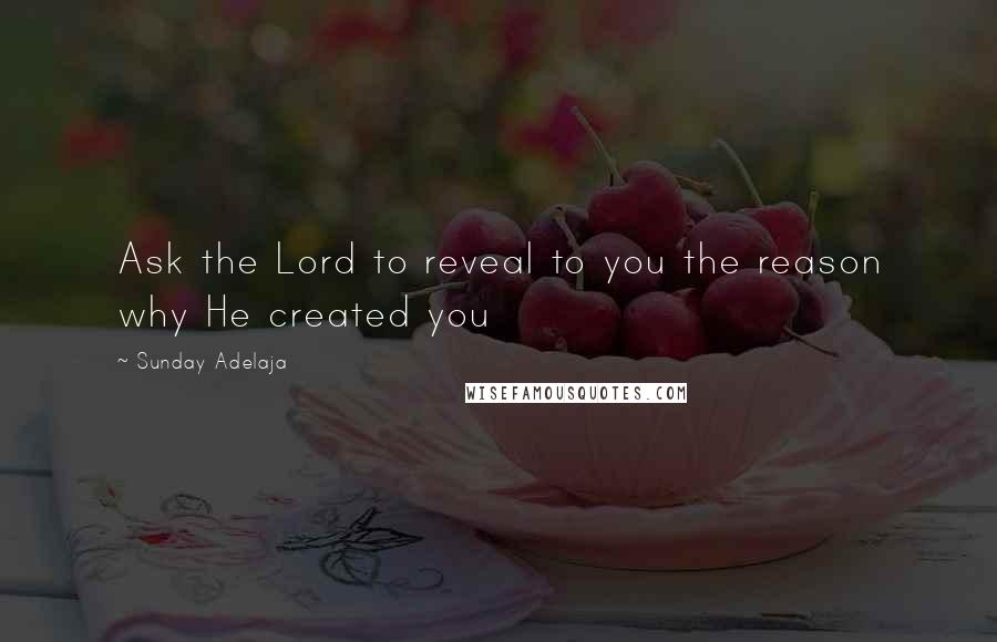 Sunday Adelaja Quotes: Ask the Lord to reveal to you the reason why He created you