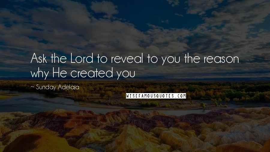 Sunday Adelaja Quotes: Ask the Lord to reveal to you the reason why He created you