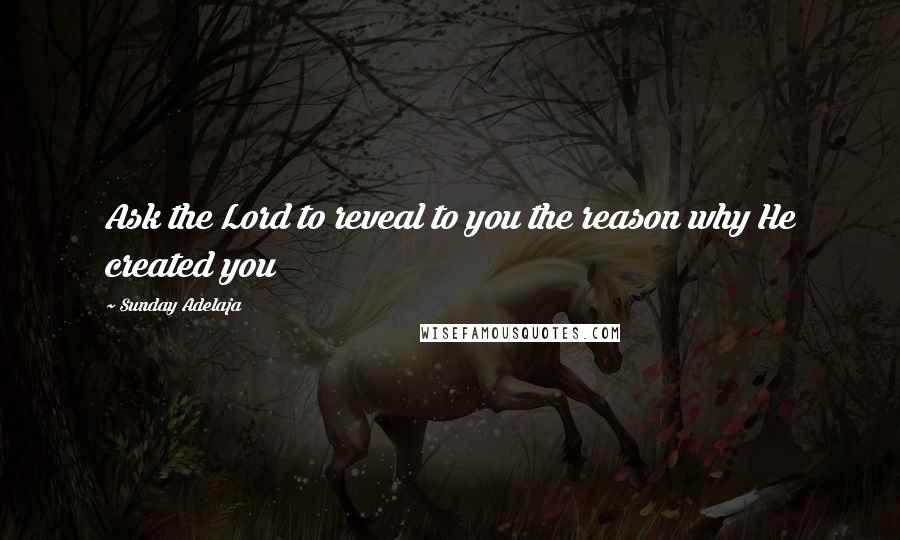 Sunday Adelaja Quotes: Ask the Lord to reveal to you the reason why He created you