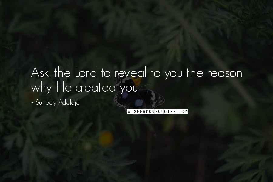 Sunday Adelaja Quotes: Ask the Lord to reveal to you the reason why He created you