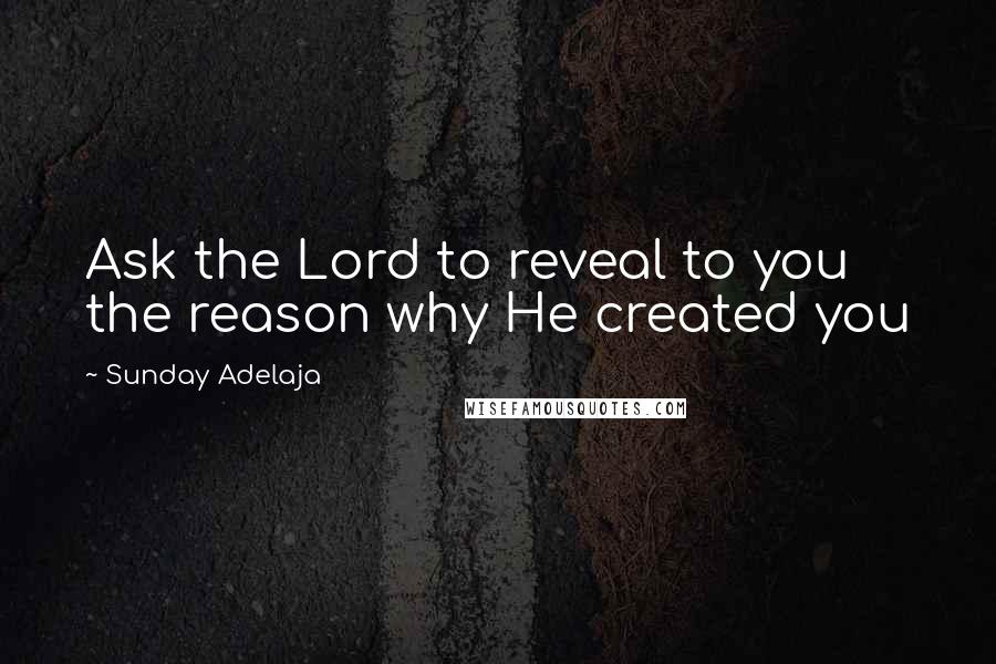 Sunday Adelaja Quotes: Ask the Lord to reveal to you the reason why He created you