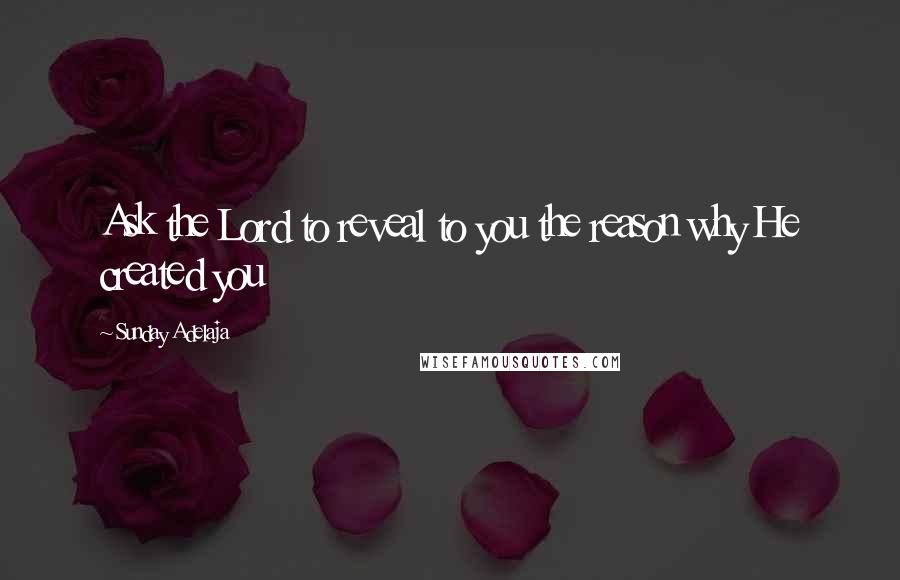 Sunday Adelaja Quotes: Ask the Lord to reveal to you the reason why He created you