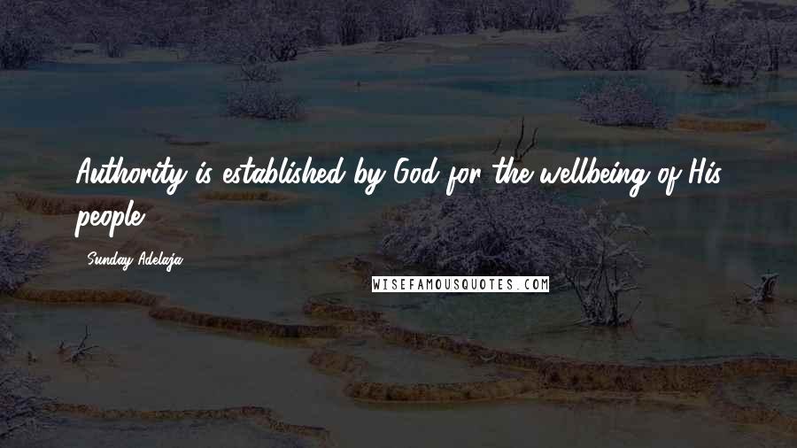 Sunday Adelaja Quotes: Authority is established by God for the wellbeing of His people