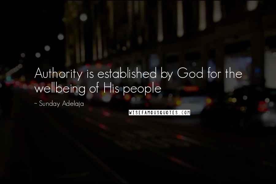 Sunday Adelaja Quotes: Authority is established by God for the wellbeing of His people