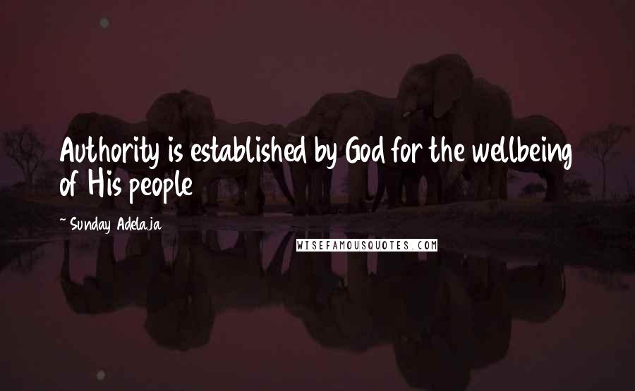 Sunday Adelaja Quotes: Authority is established by God for the wellbeing of His people
