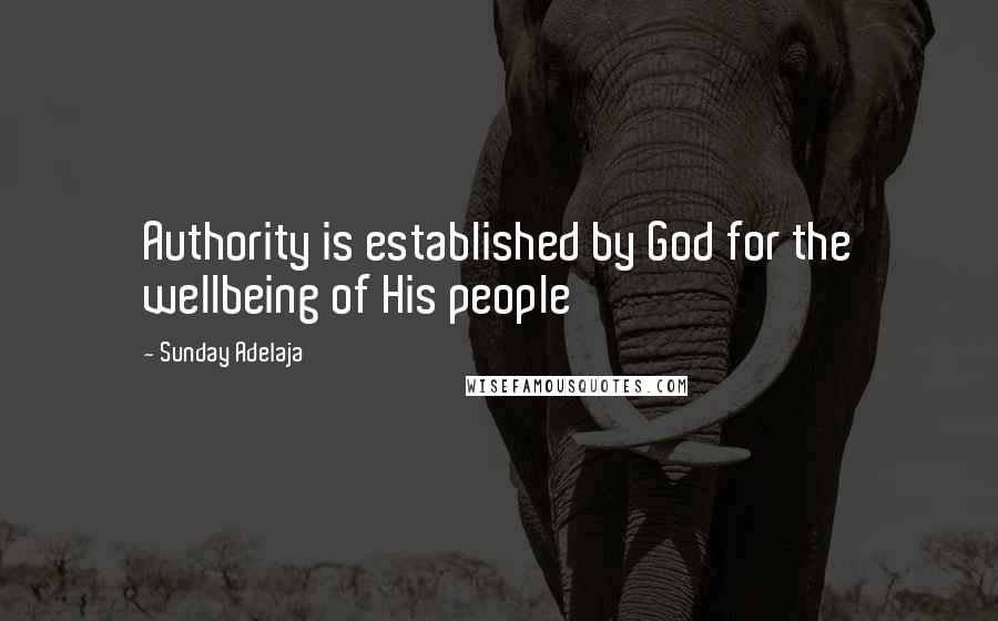 Sunday Adelaja Quotes: Authority is established by God for the wellbeing of His people