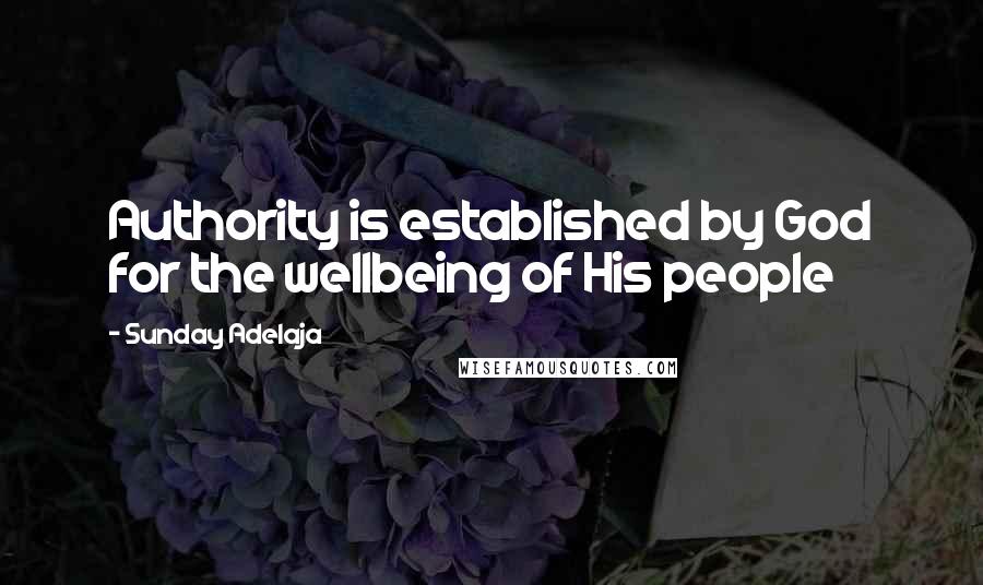 Sunday Adelaja Quotes: Authority is established by God for the wellbeing of His people