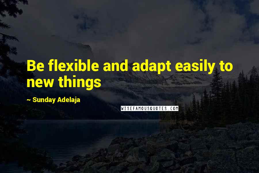 Sunday Adelaja Quotes: Be flexible and adapt easily to new things