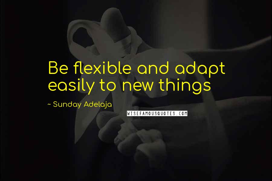 Sunday Adelaja Quotes: Be flexible and adapt easily to new things