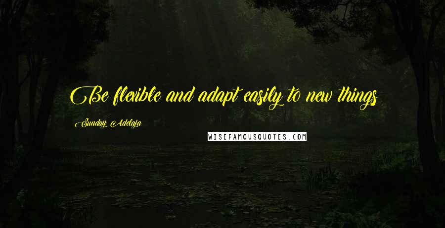 Sunday Adelaja Quotes: Be flexible and adapt easily to new things