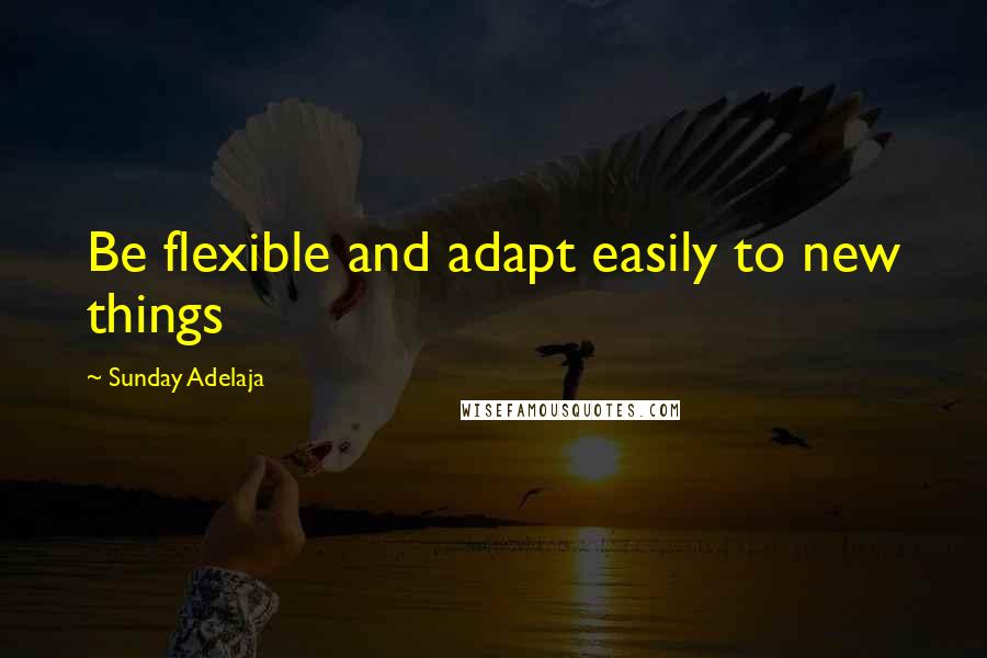 Sunday Adelaja Quotes: Be flexible and adapt easily to new things