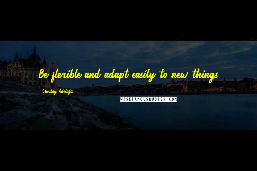 Sunday Adelaja Quotes: Be flexible and adapt easily to new things