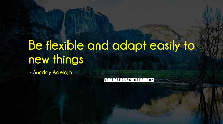 Sunday Adelaja Quotes: Be flexible and adapt easily to new things