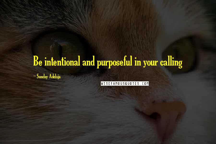 Sunday Adelaja Quotes: Be intentional and purposeful in your calling