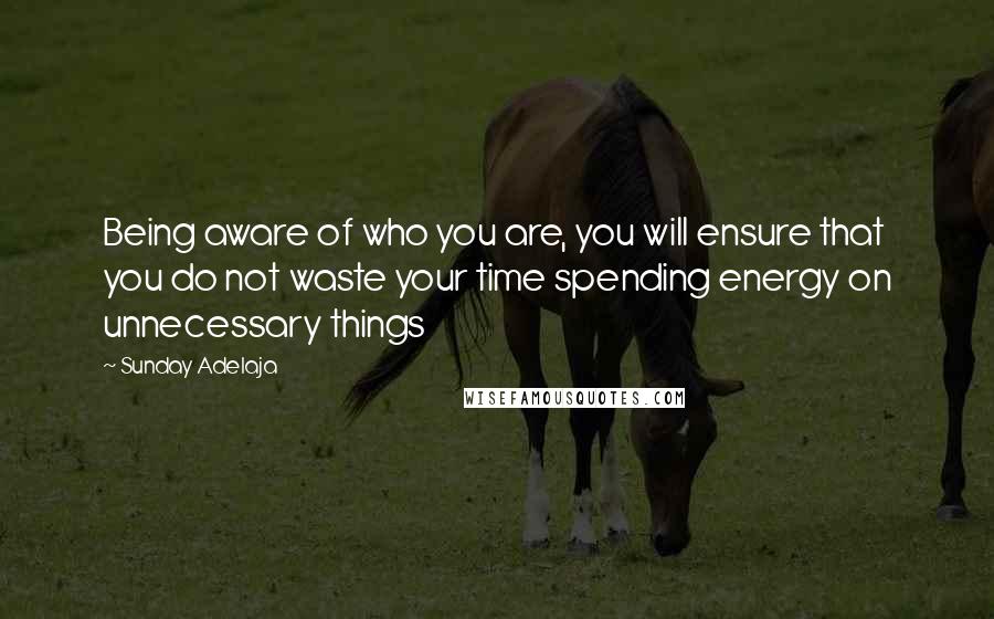 Sunday Adelaja Quotes: Being aware of who you are, you will ensure that you do not waste your time spending energy on unnecessary things