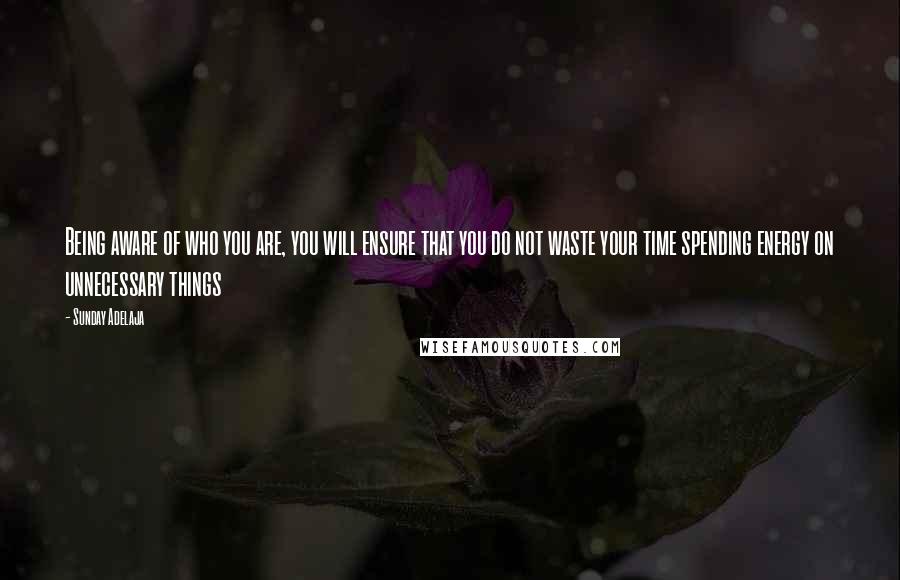 Sunday Adelaja Quotes: Being aware of who you are, you will ensure that you do not waste your time spending energy on unnecessary things