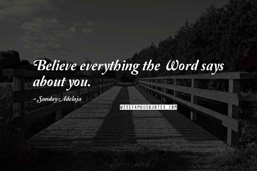 Sunday Adelaja Quotes: Believe everything the Word says about you.