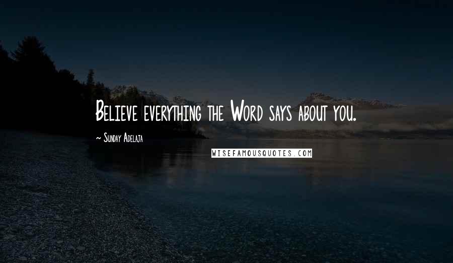 Sunday Adelaja Quotes: Believe everything the Word says about you.