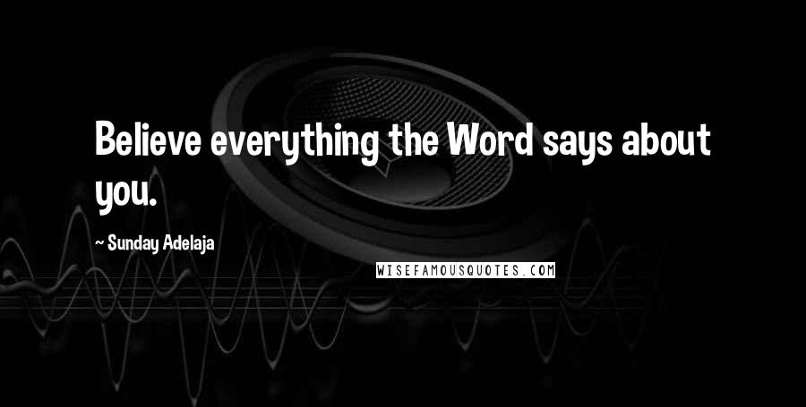 Sunday Adelaja Quotes: Believe everything the Word says about you.