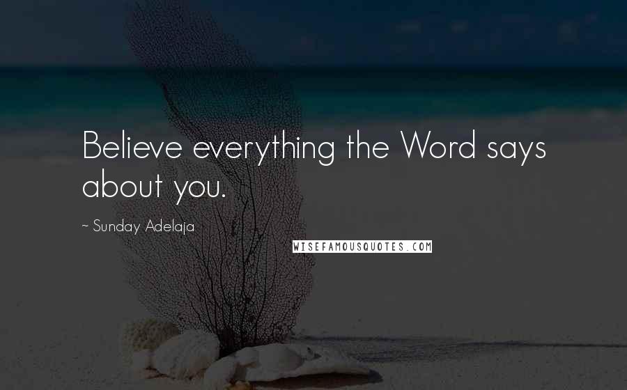 Sunday Adelaja Quotes: Believe everything the Word says about you.