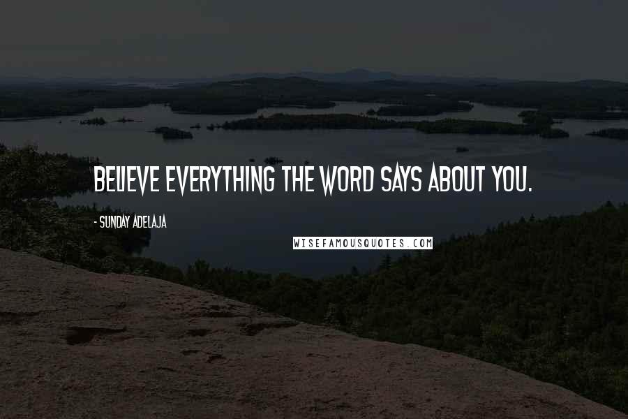 Sunday Adelaja Quotes: Believe everything the Word says about you.