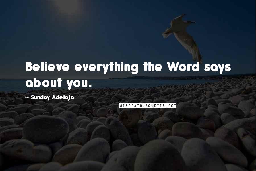 Sunday Adelaja Quotes: Believe everything the Word says about you.