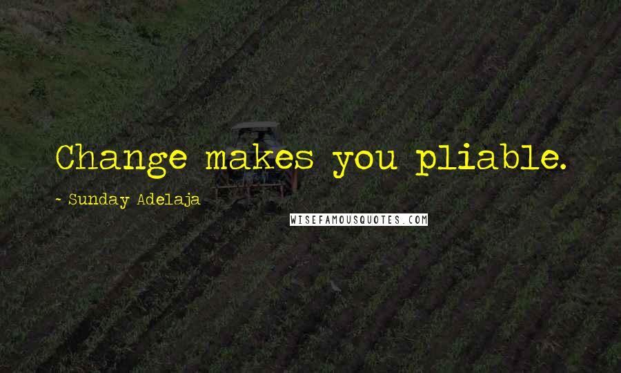 Sunday Adelaja Quotes: Change makes you pliable.