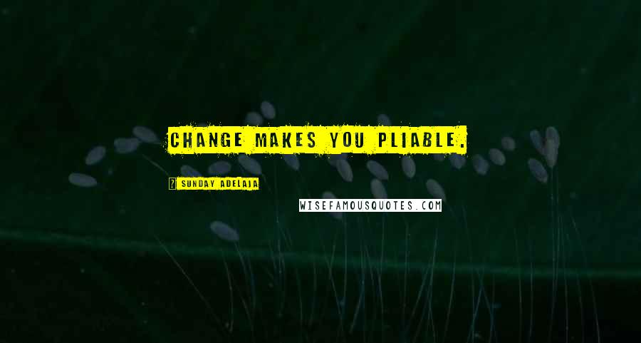 Sunday Adelaja Quotes: Change makes you pliable.