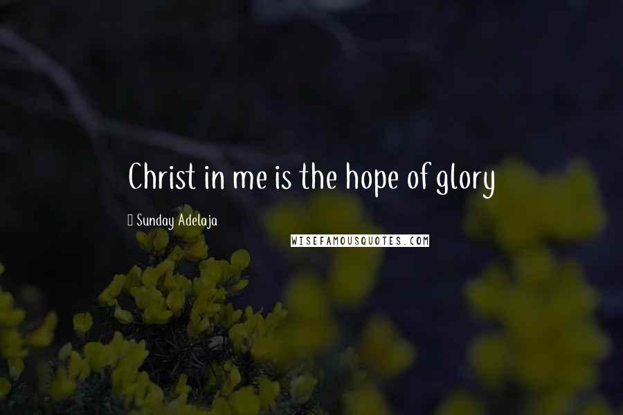 Sunday Adelaja Quotes: Christ in me is the hope of glory