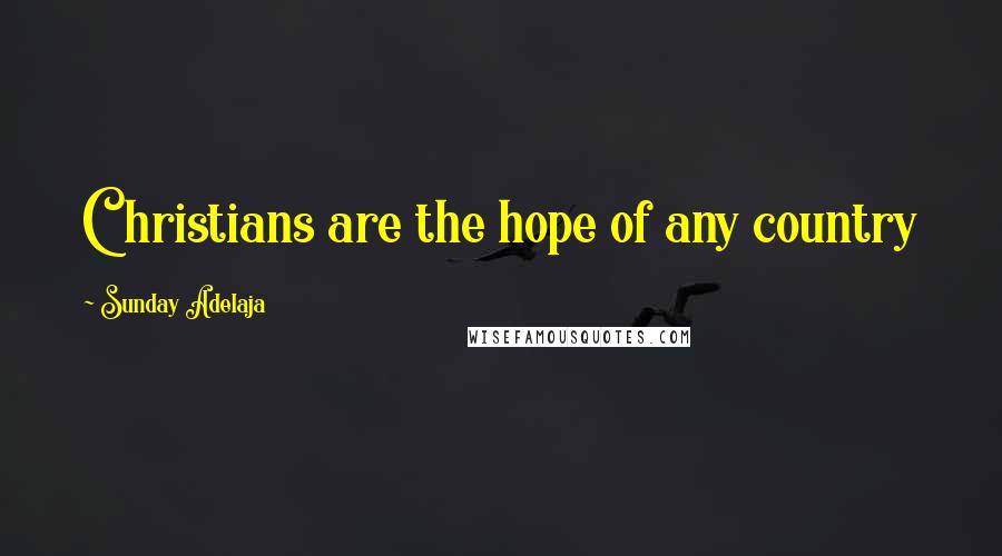 Sunday Adelaja Quotes: Christians are the hope of any country