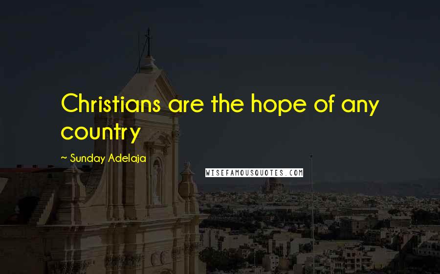 Sunday Adelaja Quotes: Christians are the hope of any country