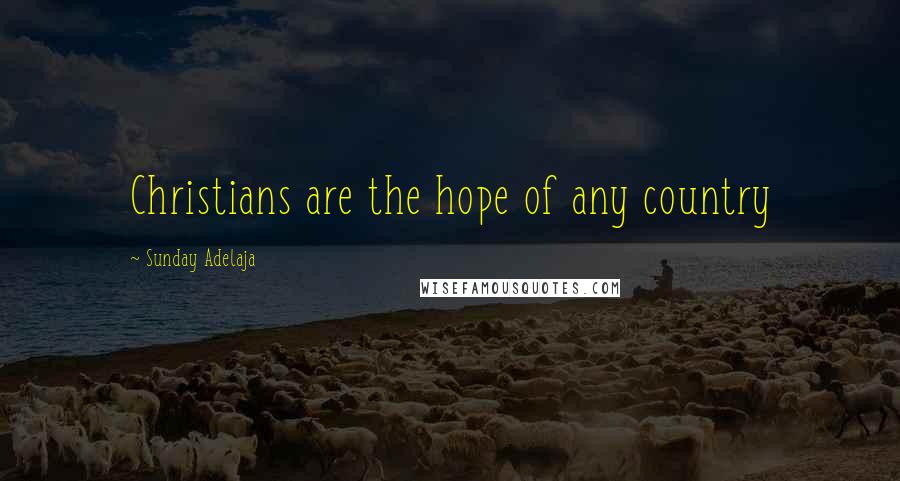 Sunday Adelaja Quotes: Christians are the hope of any country
