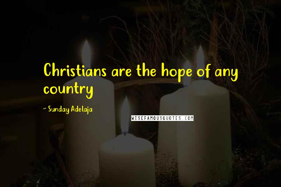 Sunday Adelaja Quotes: Christians are the hope of any country
