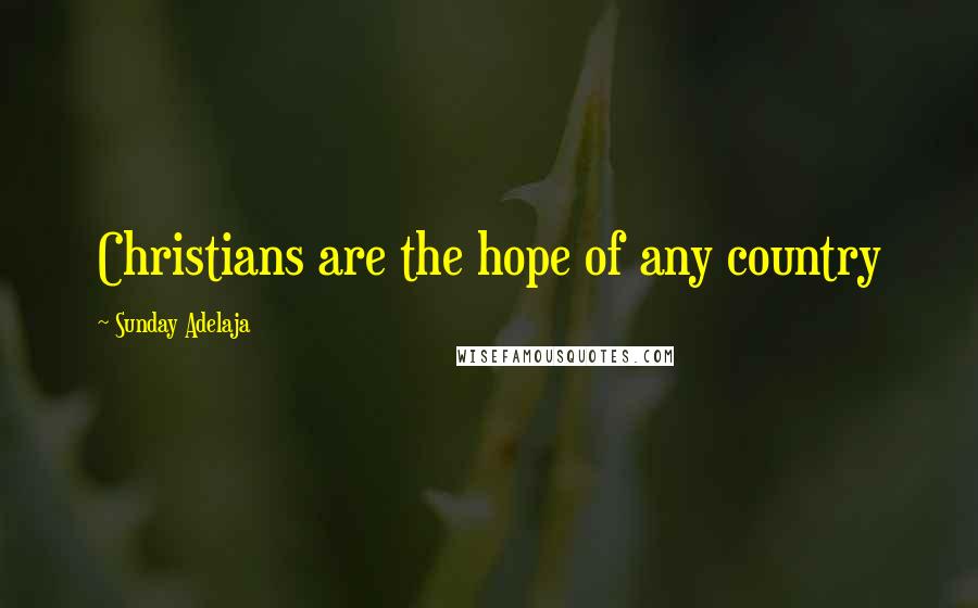 Sunday Adelaja Quotes: Christians are the hope of any country