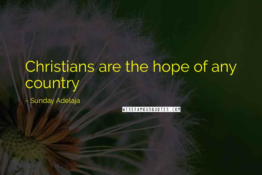 Sunday Adelaja Quotes: Christians are the hope of any country