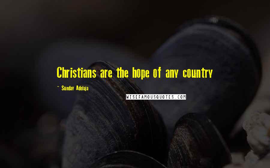 Sunday Adelaja Quotes: Christians are the hope of any country