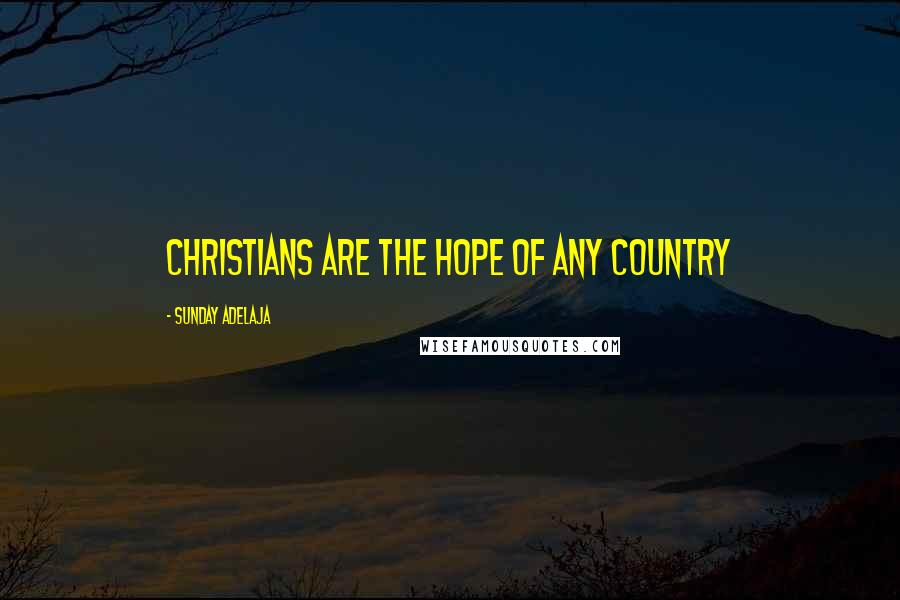 Sunday Adelaja Quotes: Christians are the hope of any country