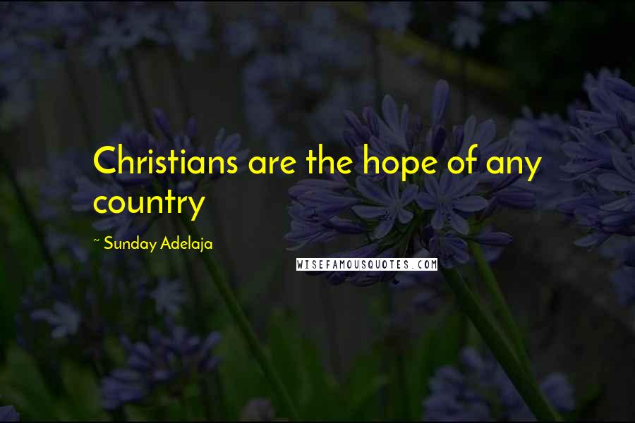 Sunday Adelaja Quotes: Christians are the hope of any country
