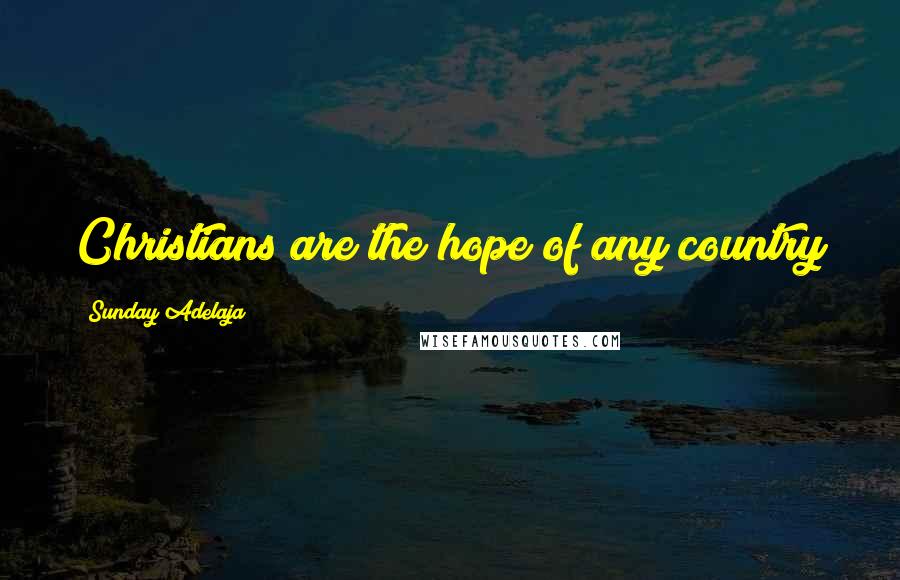 Sunday Adelaja Quotes: Christians are the hope of any country