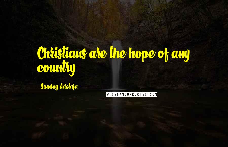 Sunday Adelaja Quotes: Christians are the hope of any country