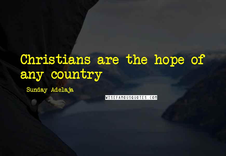 Sunday Adelaja Quotes: Christians are the hope of any country