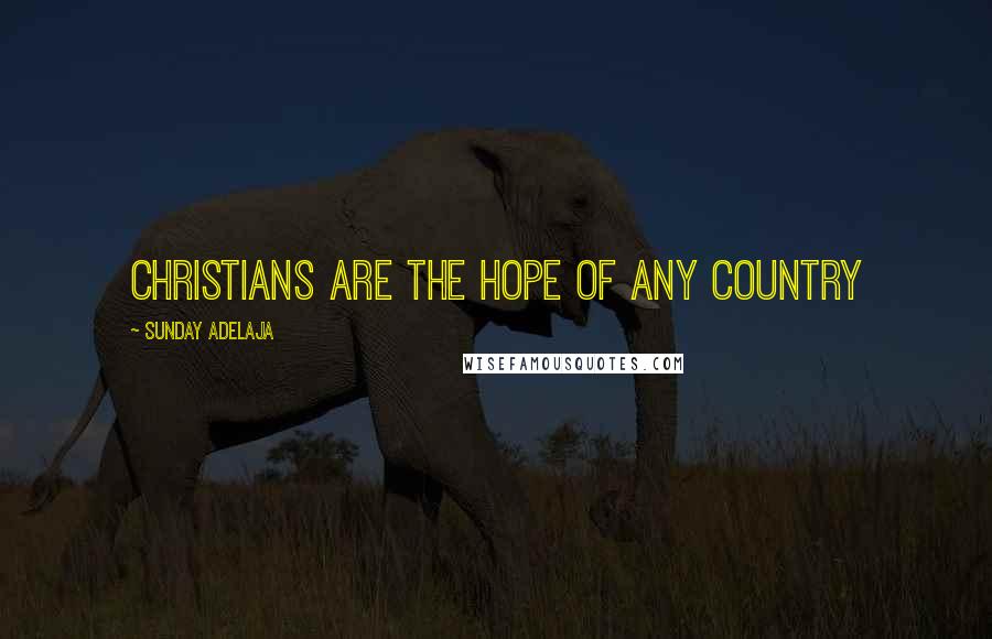 Sunday Adelaja Quotes: Christians are the hope of any country