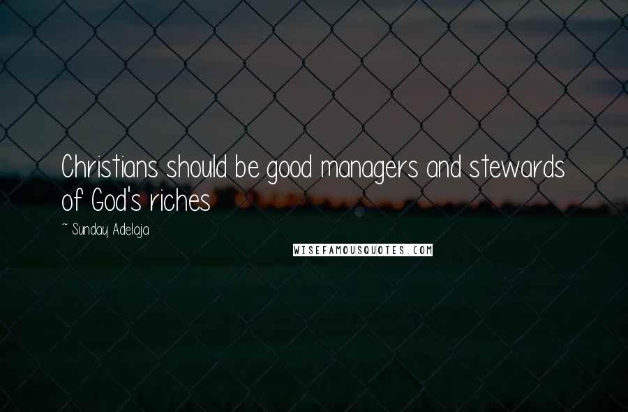 Sunday Adelaja Quotes: Christians should be good managers and stewards of God's riches