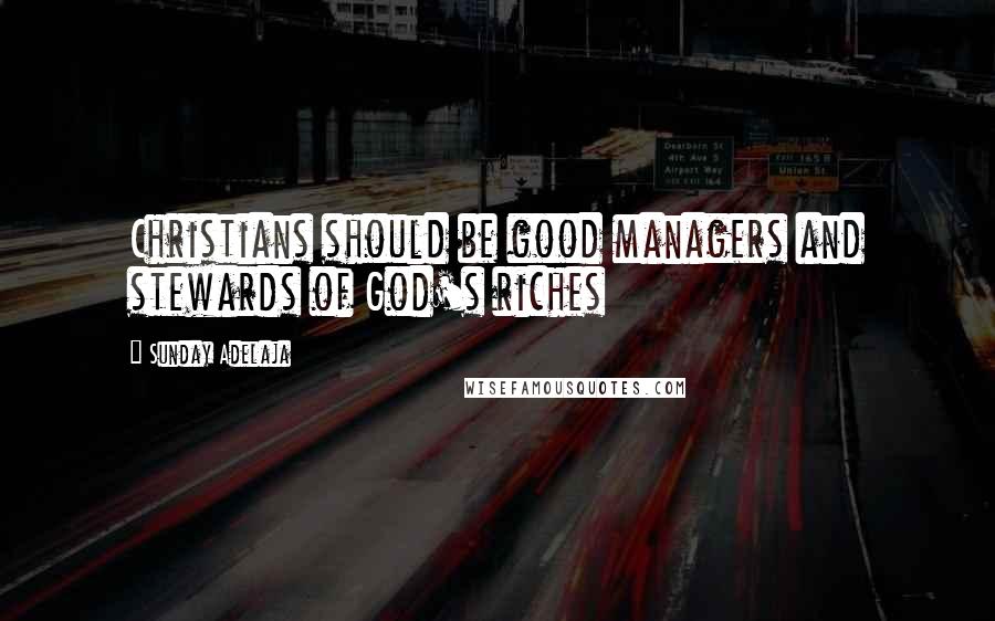 Sunday Adelaja Quotes: Christians should be good managers and stewards of God's riches