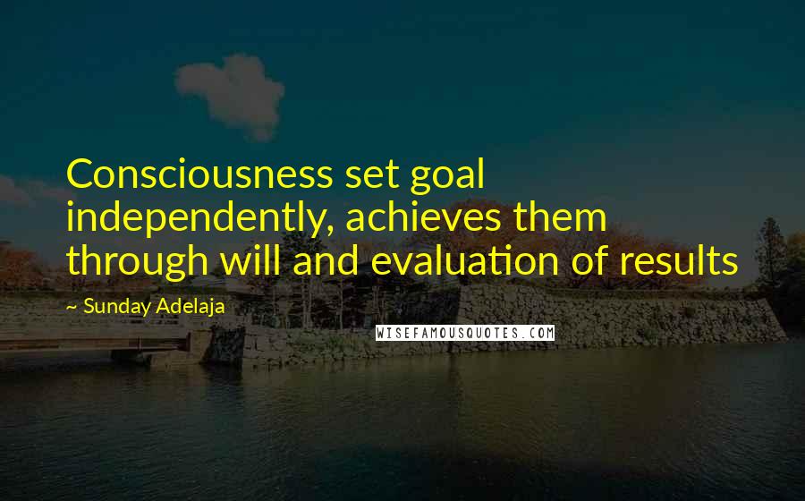 Sunday Adelaja Quotes: Consciousness set goal independently, achieves them through will and evaluation of results