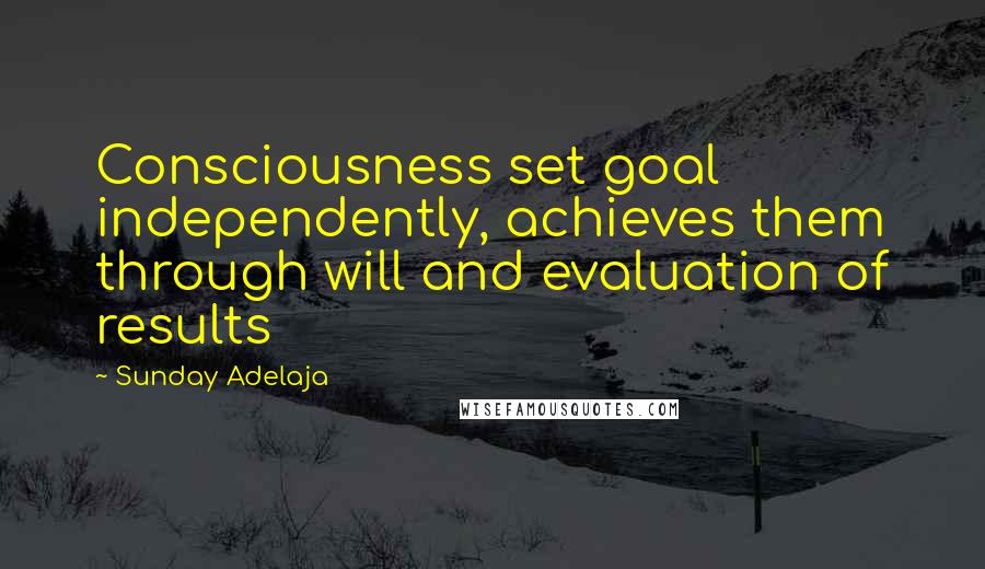 Sunday Adelaja Quotes: Consciousness set goal independently, achieves them through will and evaluation of results