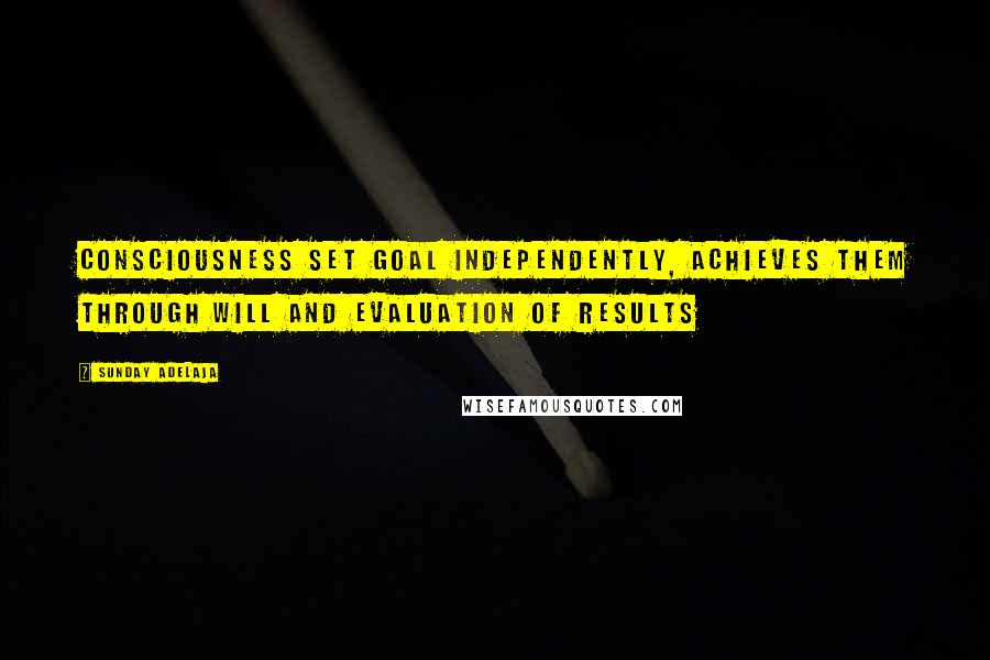 Sunday Adelaja Quotes: Consciousness set goal independently, achieves them through will and evaluation of results