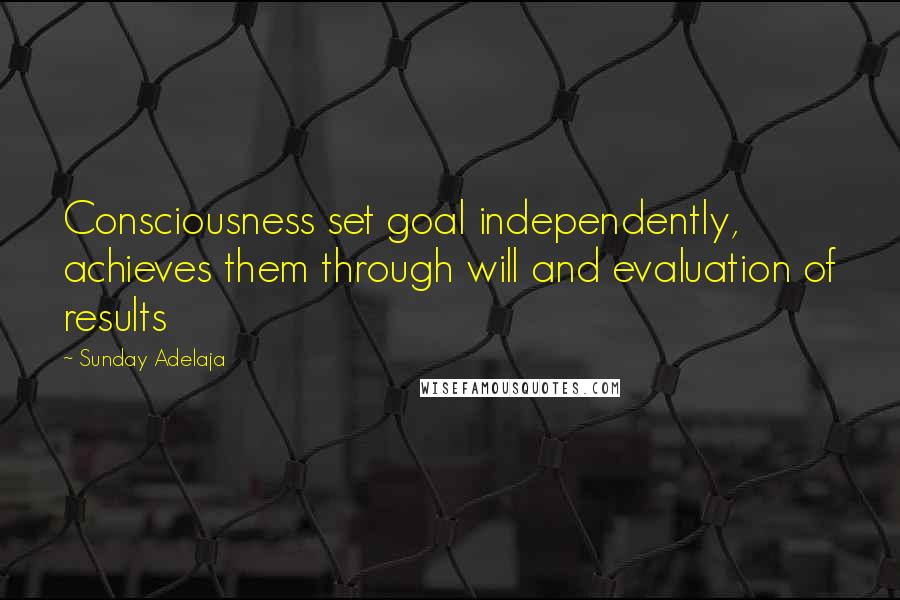 Sunday Adelaja Quotes: Consciousness set goal independently, achieves them through will and evaluation of results