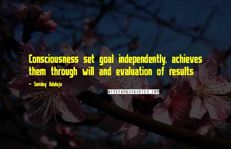 Sunday Adelaja Quotes: Consciousness set goal independently, achieves them through will and evaluation of results