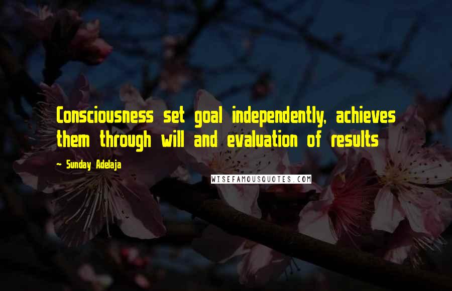 Sunday Adelaja Quotes: Consciousness set goal independently, achieves them through will and evaluation of results